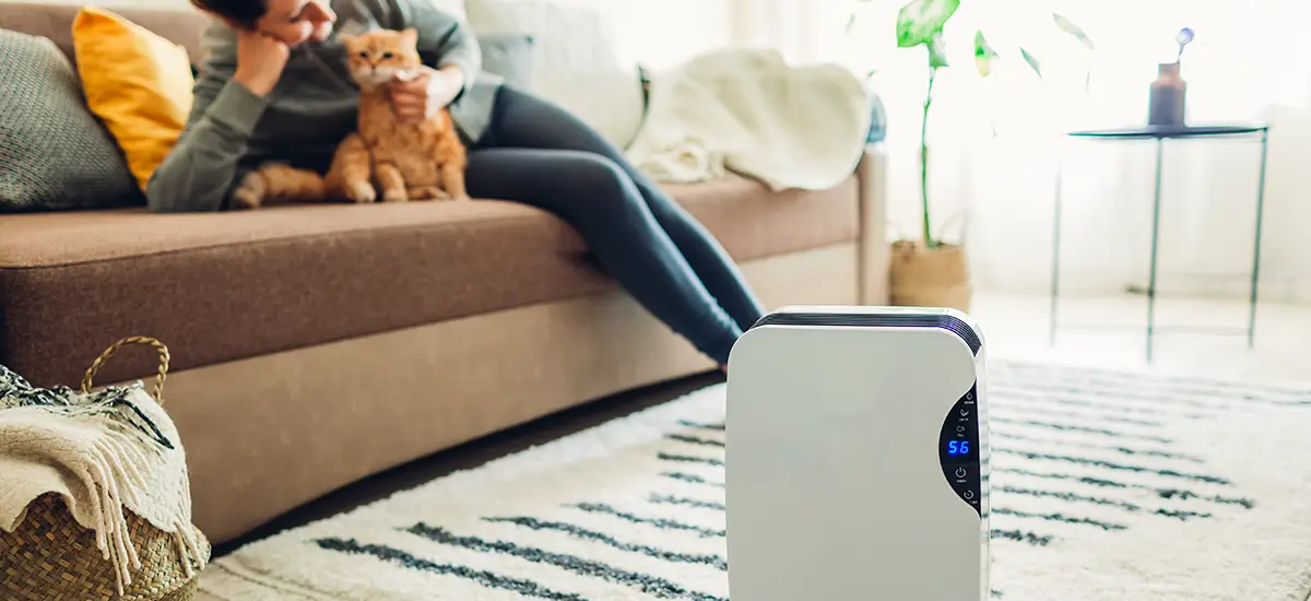 portable air conditioner